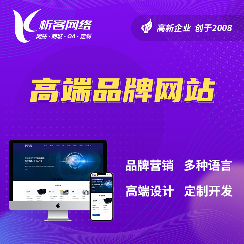 昌江黎族高端品牌网站