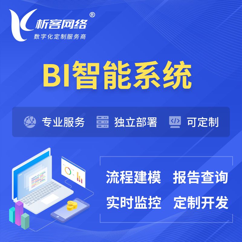 昌江黎族BI智能系统 | BI数据可视化